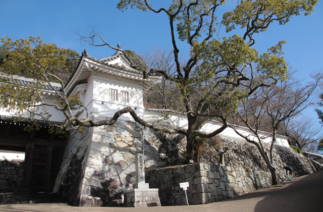 春には桜が咲き誇る龍野城跡