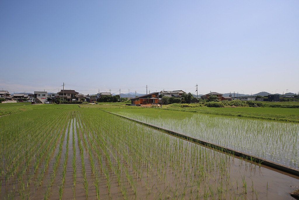 姫路市の木の家『田んぼの中のサーファーズハウス』周辺風景