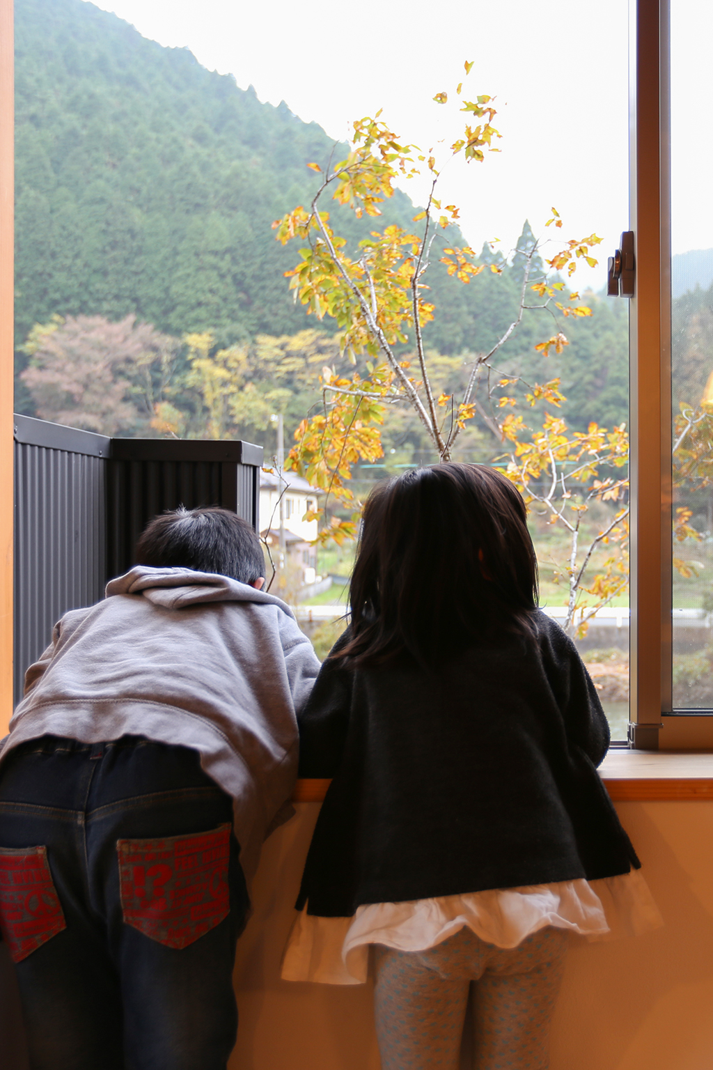 朝来市の木の家 2階窓から景色を眺める