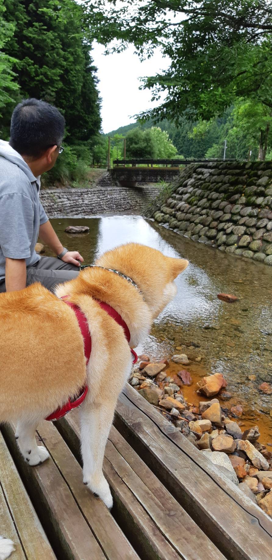 北岡 大実