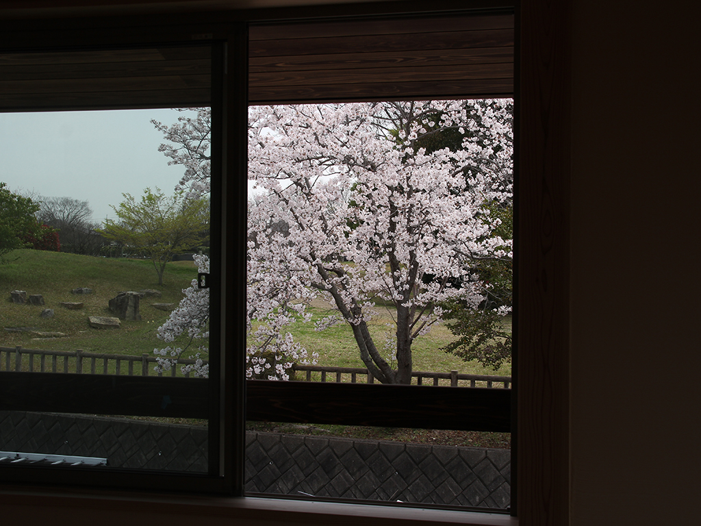 加古川市の木の家　窓からの景色