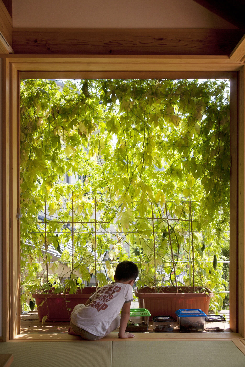 宍粟市の木の家 2階リビングでプランター菜園を愉しむ