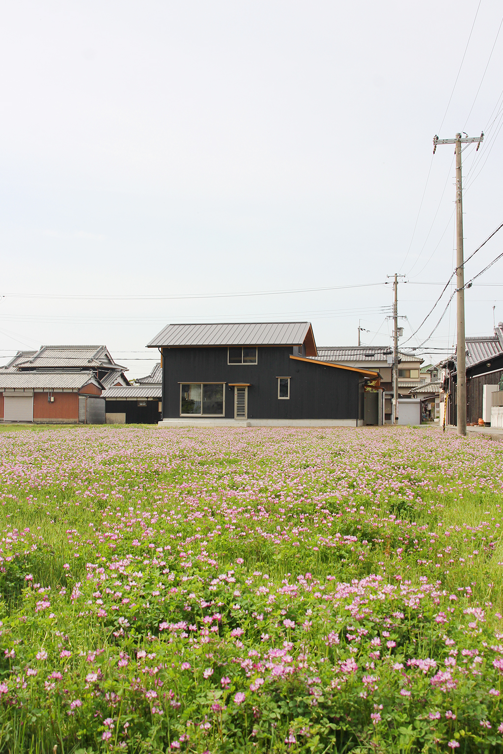 姫路市の木の家 れんげ畑の傍に佇む