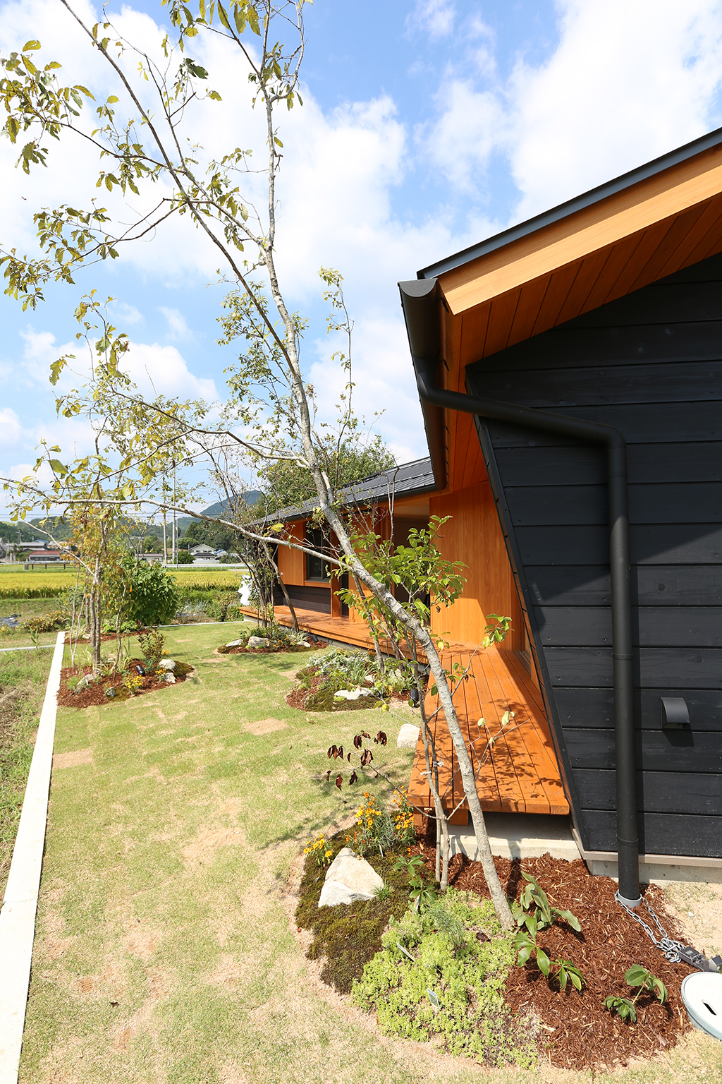 神崎郡の木の家 庭の緑に溶け込む板張りの外観