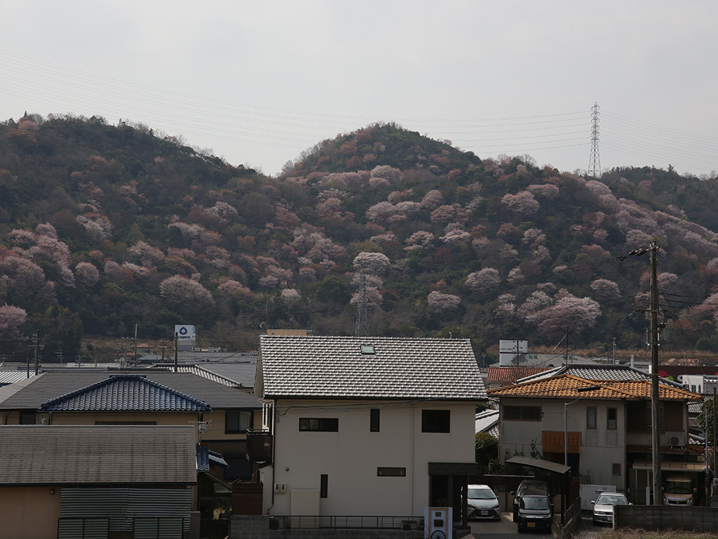 姫路市の木の家　お家からの景色