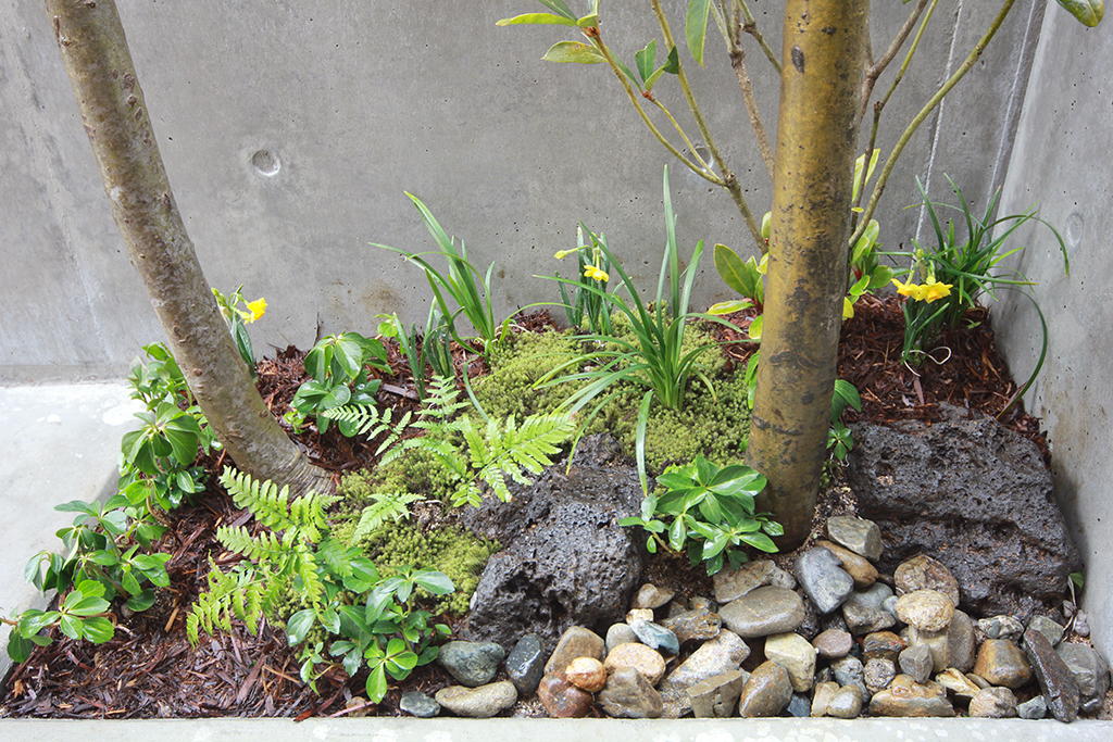 姫路市の木の家 玄関ポーチの植栽