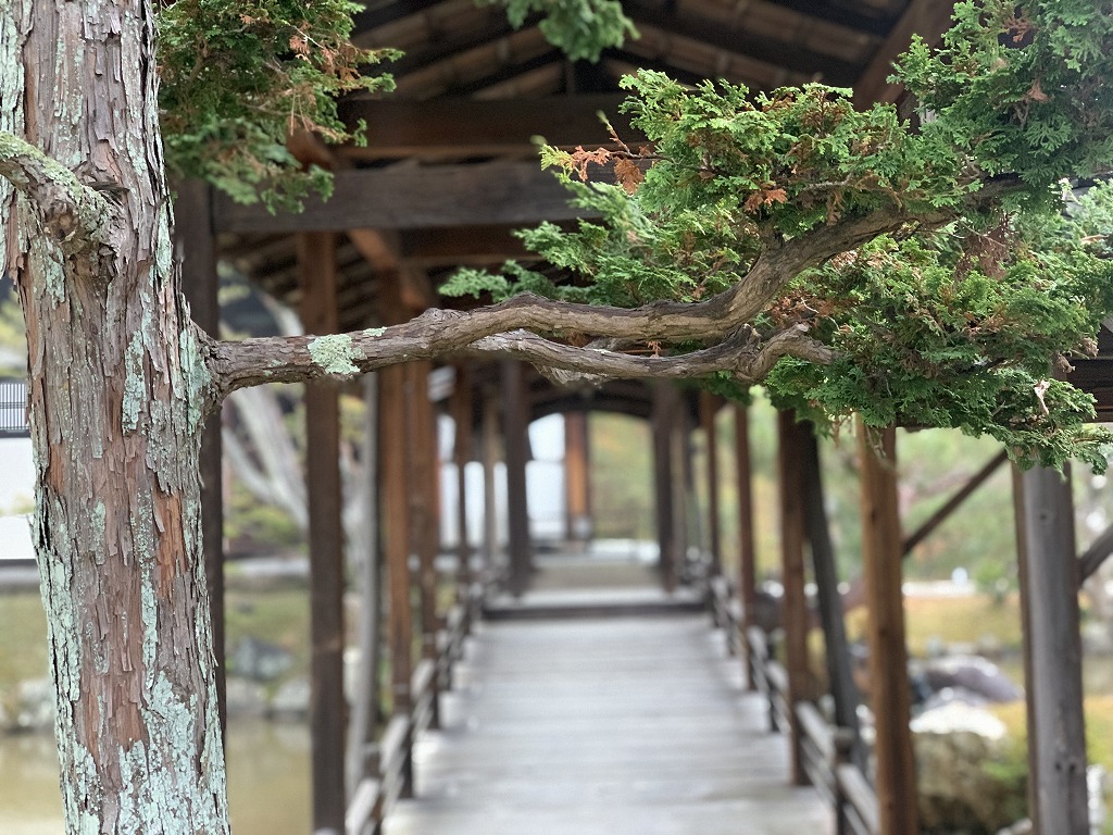 秀吉とねねの寺 ヤマヒロ