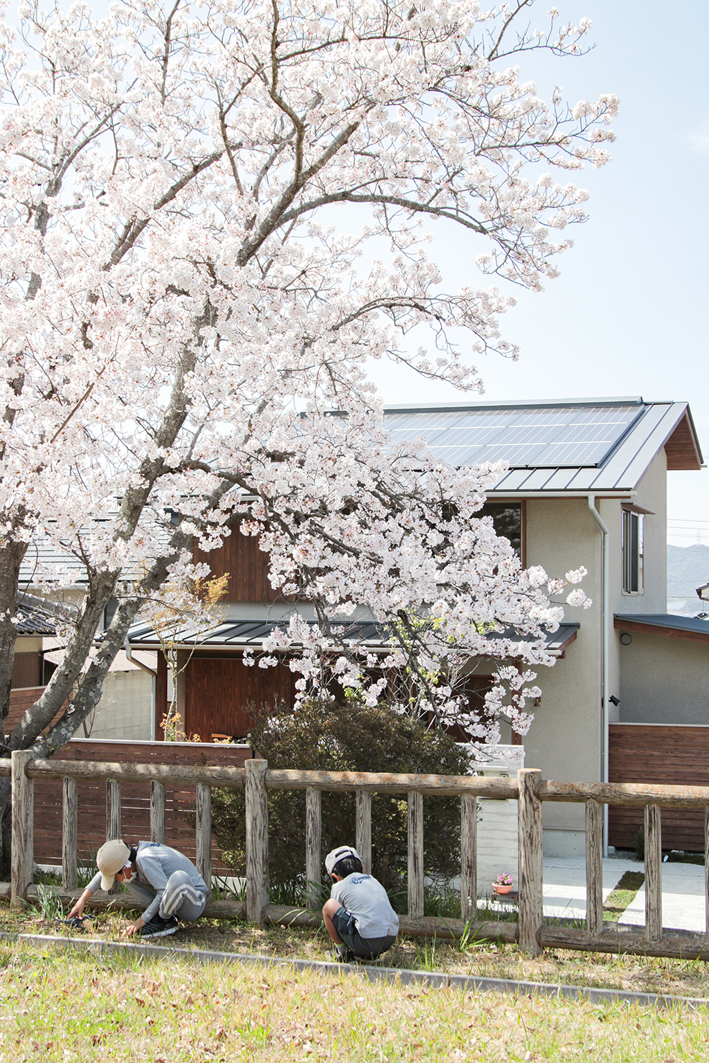 加古川市の木の家 満開の桜越しに見える外観