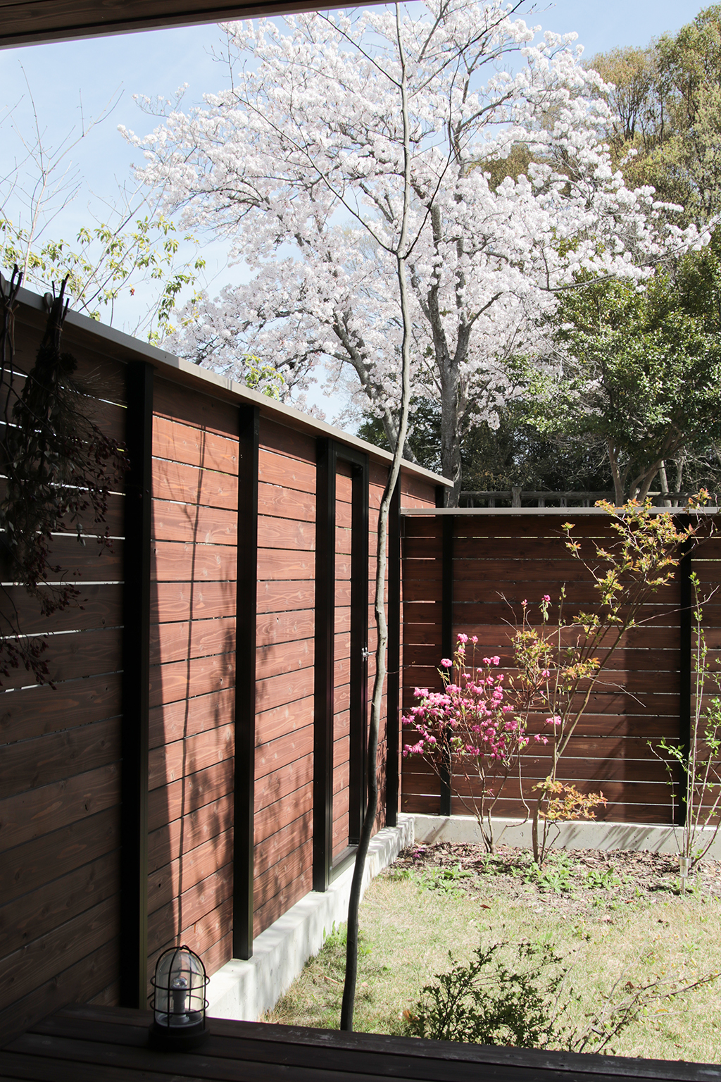 加古川市の木の家 デッキから桜を望む