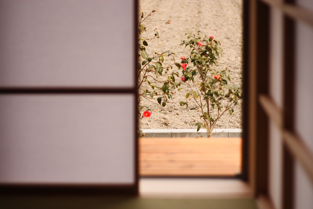 姫路市の木の家 和室から見える植栽
