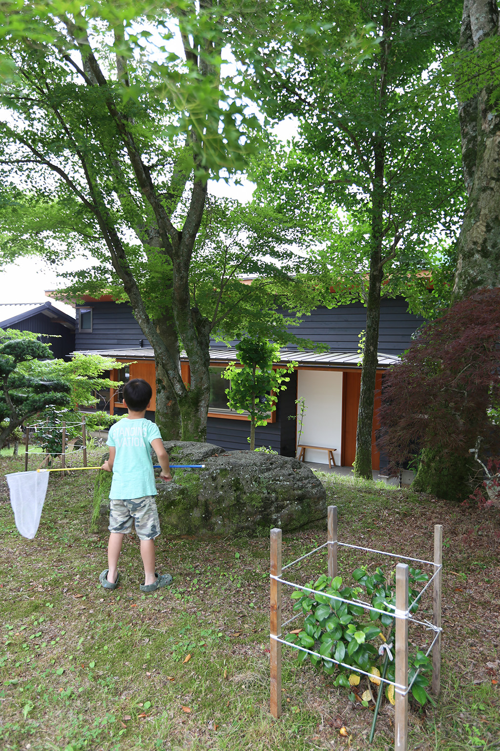 姫路市の木の家 虫取りをするお子さま