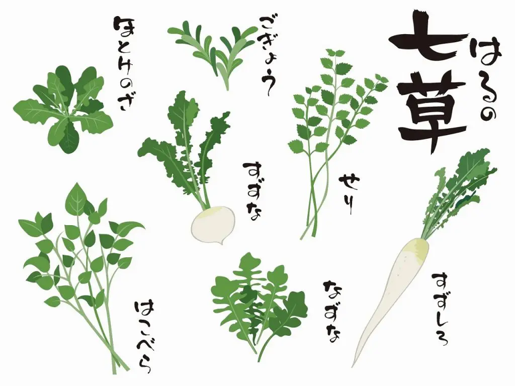櫻奈栗川様 気になっている部分アップしました
