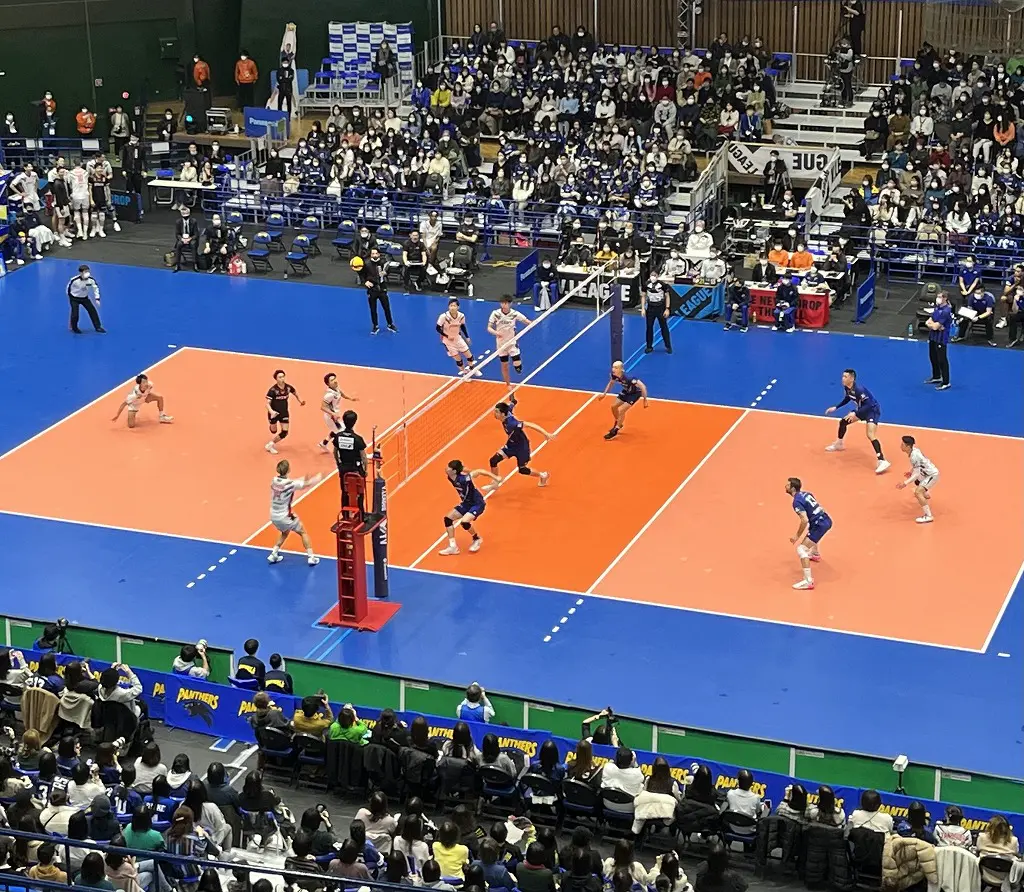 全日本女子バレーのパン線 