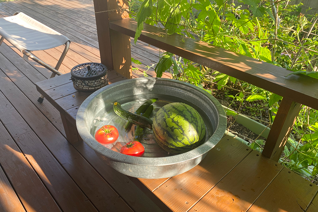 水で冷やした夏野菜