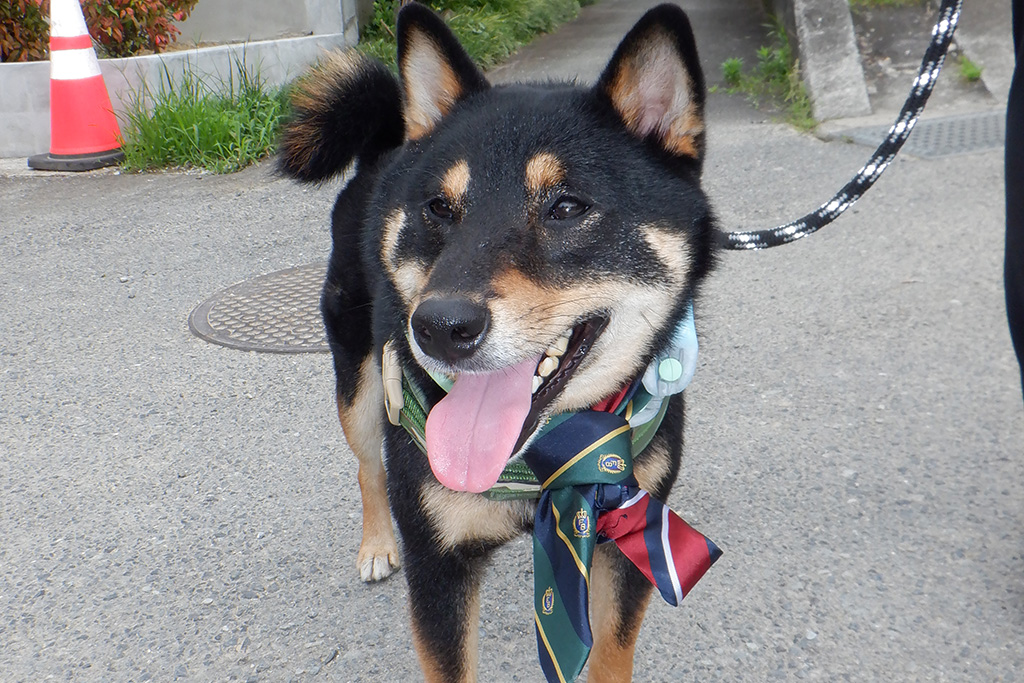 姫路市の木の家　引渡式