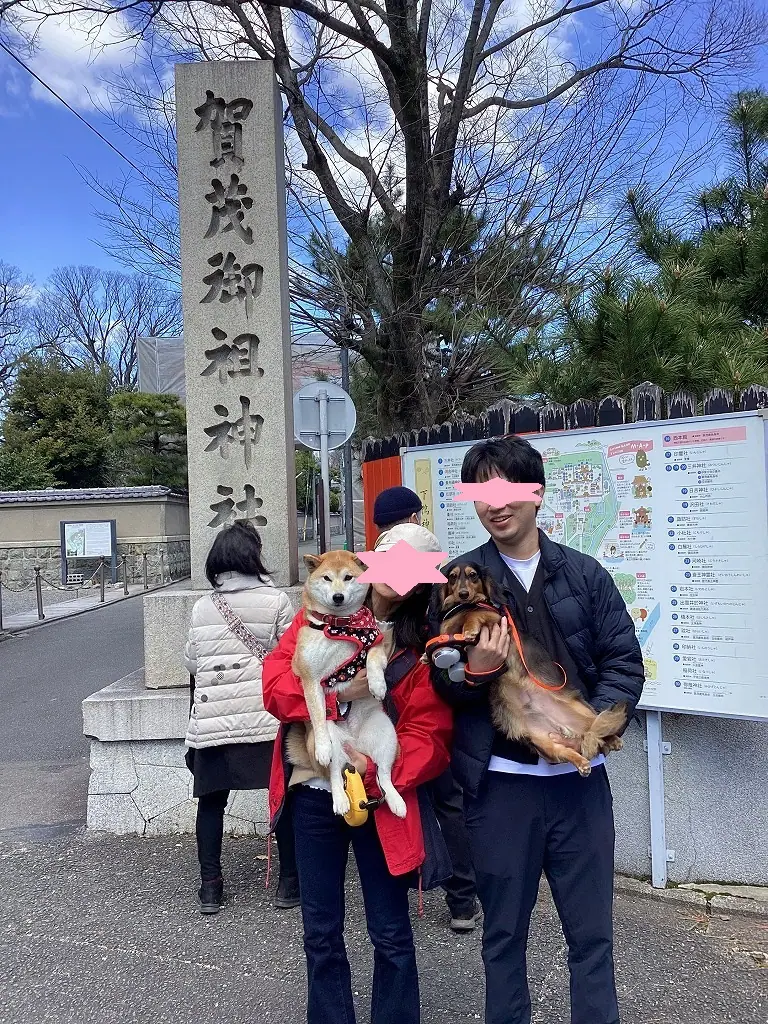 京都で犬連れOKの神社巡り ～下鴨神社編～ | 姫路市・加古川市