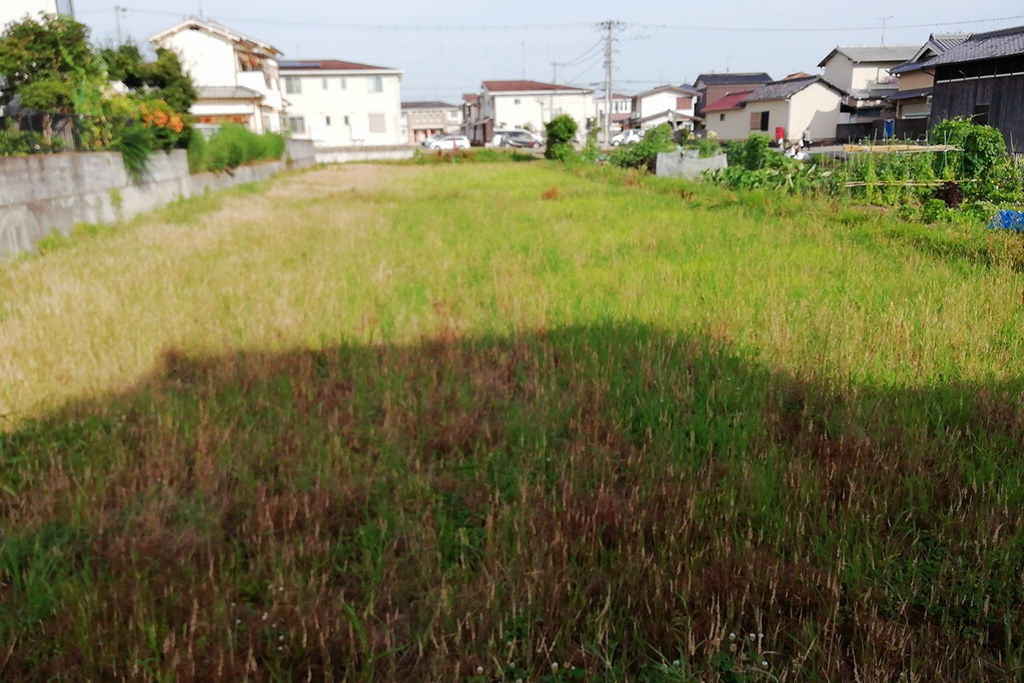 加古川市の木の家　計画地