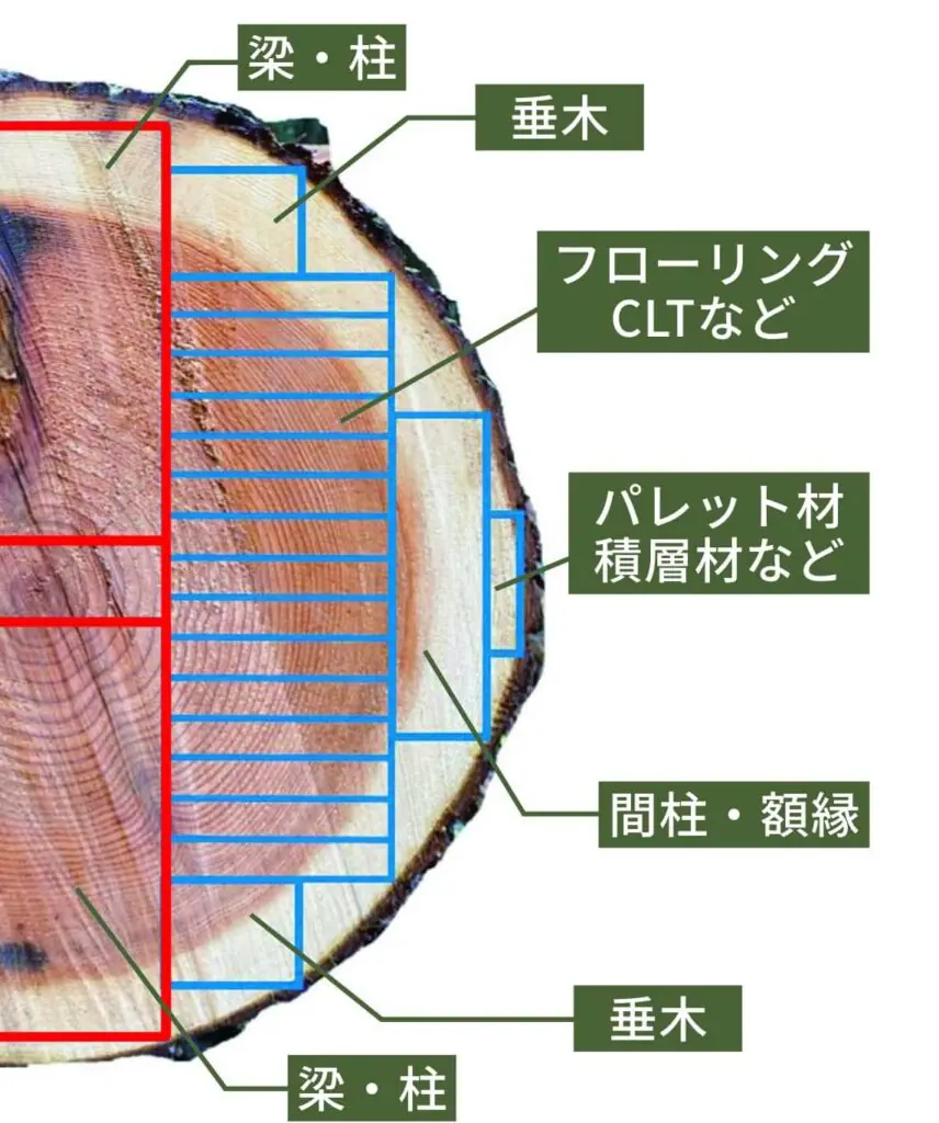 【中古】 教育課程と教育評価 個性化対応へのアプローチ/建帛社/エリオット・Ｗ．アイスナー 理工学部 物理学科】楠瀬博明教授の論文2件が日本物理学会欧文誌