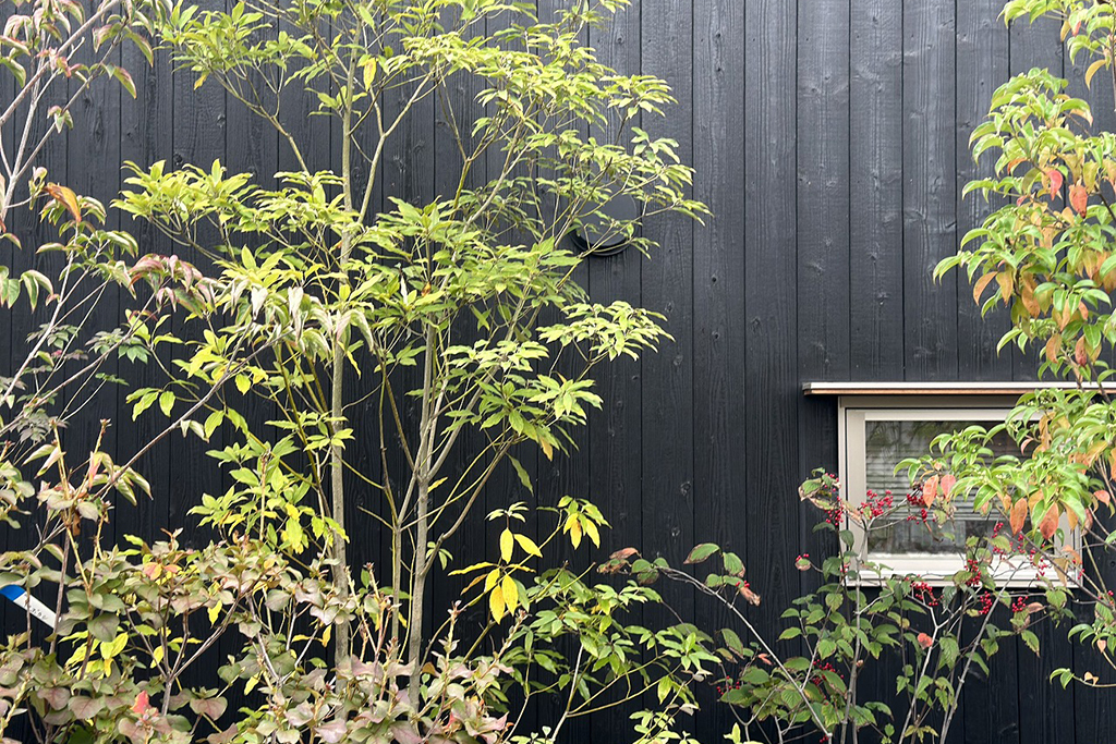 庭のある暮らし